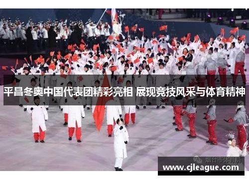 平昌冬奥中国代表团精彩亮相 展现竞技风采与体育精神